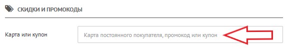 Как использовать промокод в Karcher (cleanshop.ru)
